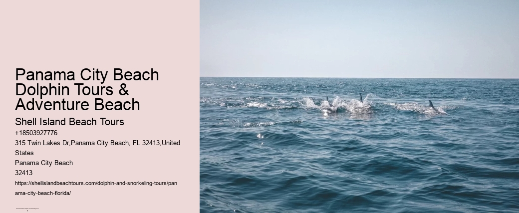 Panama City Beach Dolphin Tours & Adventure Beach