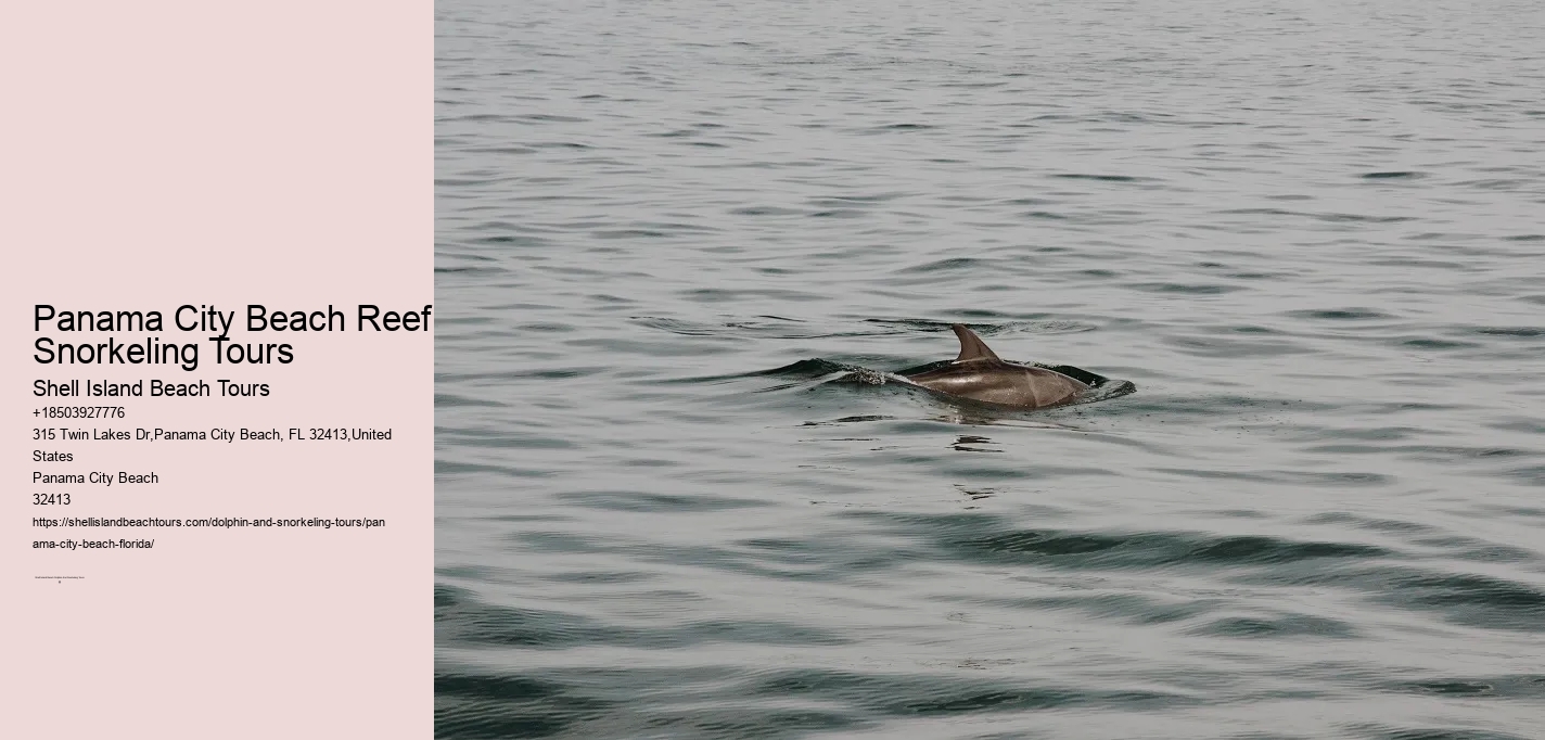 Panama City Beach Reef Snorkeling Tours