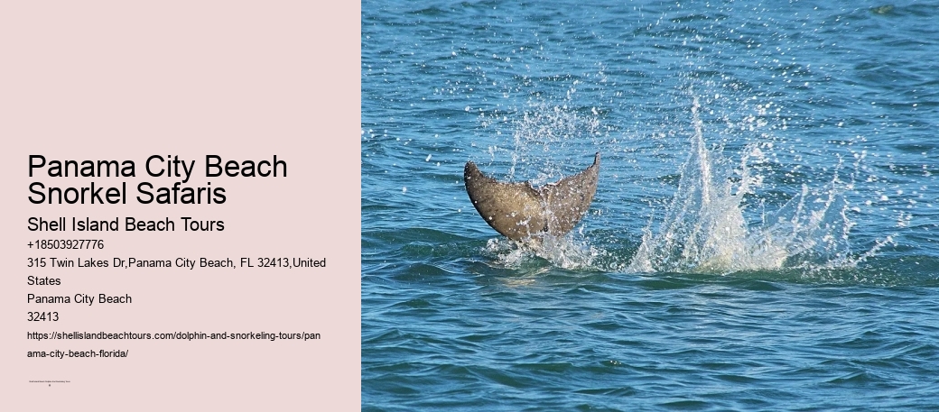 Panama City Beach Snorkel Safaris