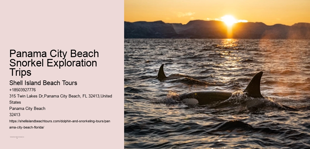 Panama City Beach Snorkel Exploration Trips