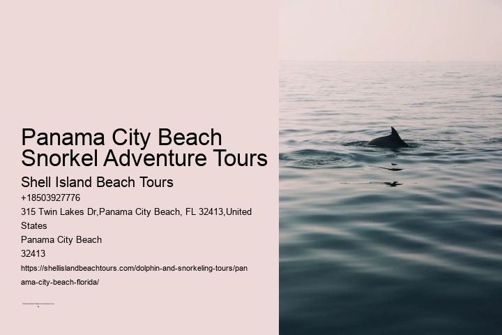 Panama City Beach Snorkel Adventure Tours