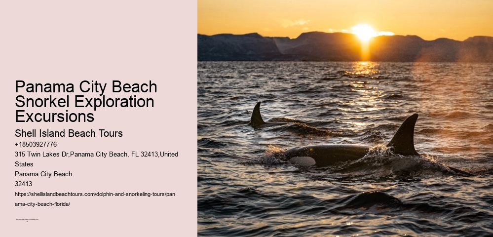 Panama City Beach Snorkel Exploration Excursions