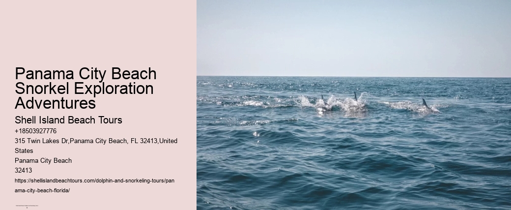 Panama City Beach Snorkel Exploration Adventures