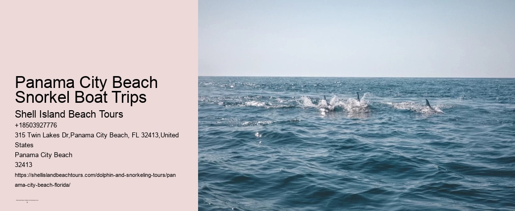 Panama City Beach Snorkel Boat Trips