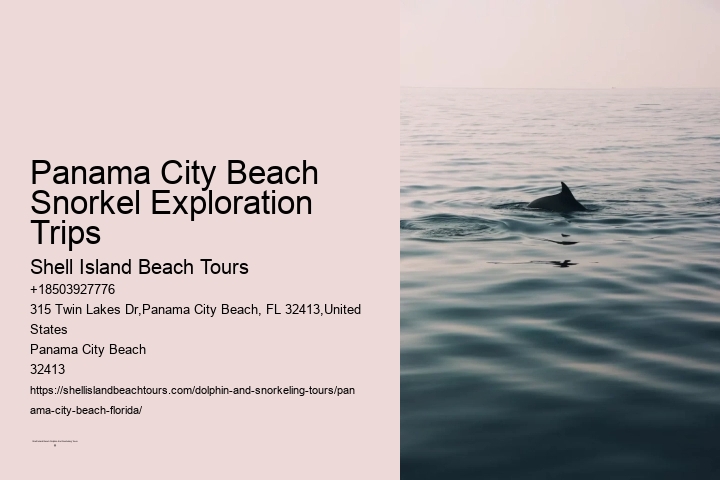 Panama City Beach Snorkel Exploration Trips