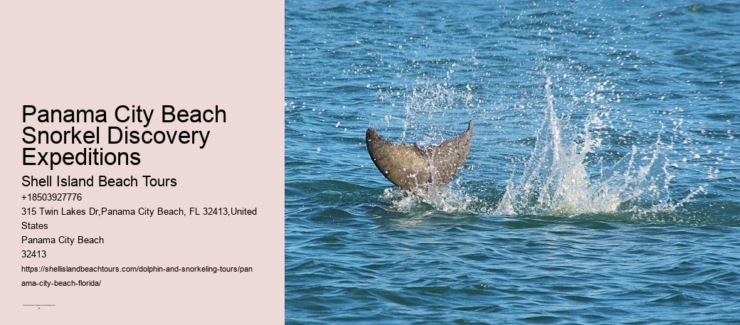 Panama City Beach Snorkel Discovery Expeditions