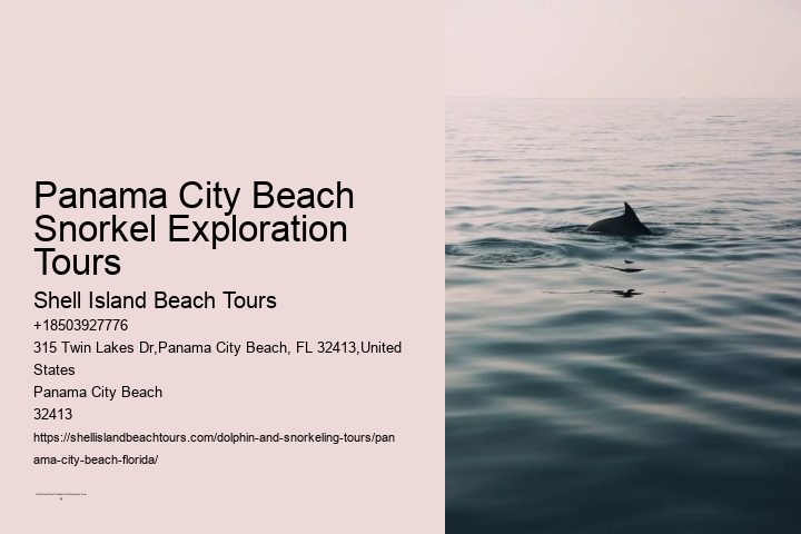 Panama City Beach Snorkel Exploration Tours
