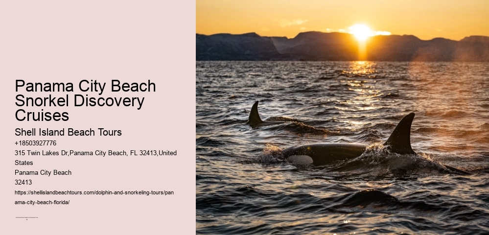 Panama City Beach Snorkel Discovery Cruises