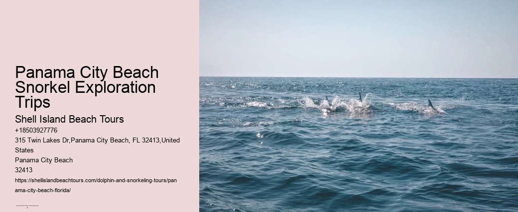 Panama City Beach Snorkel Exploration Trips