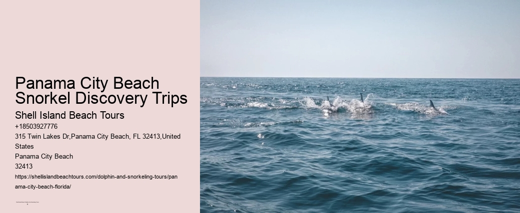 Panama City Beach Snorkel Discovery Trips