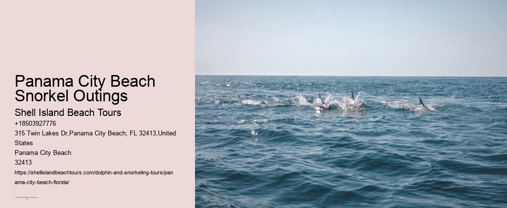 Panama City Beach Snorkel Outings