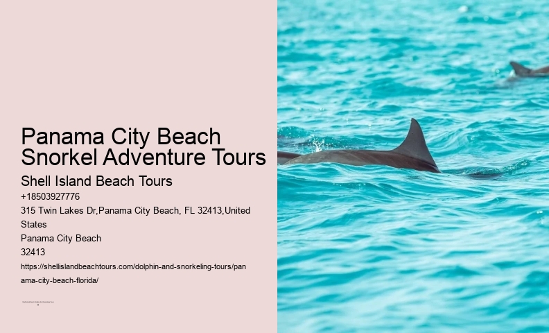 Pcb Snorkel Viewing Tours