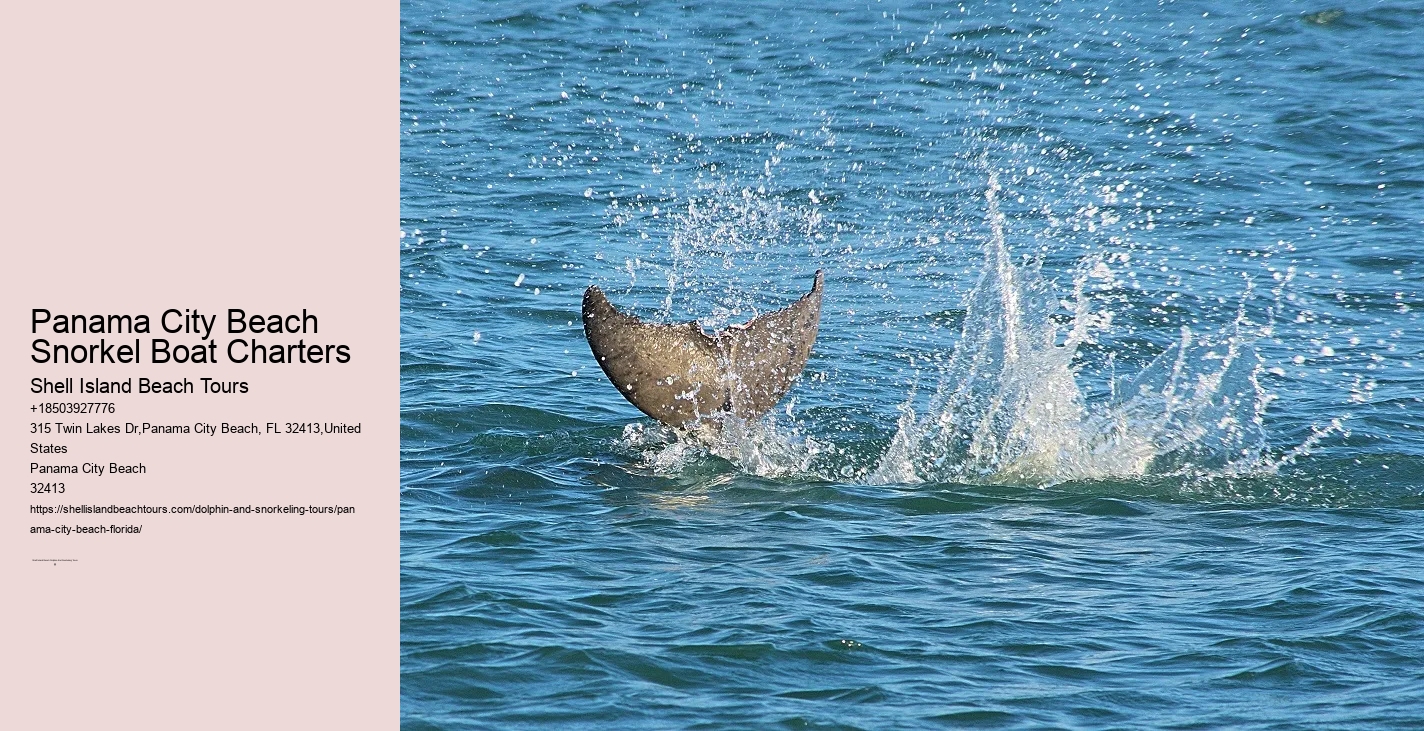 Panama City Beach Snorkeling Tours Venice Florida