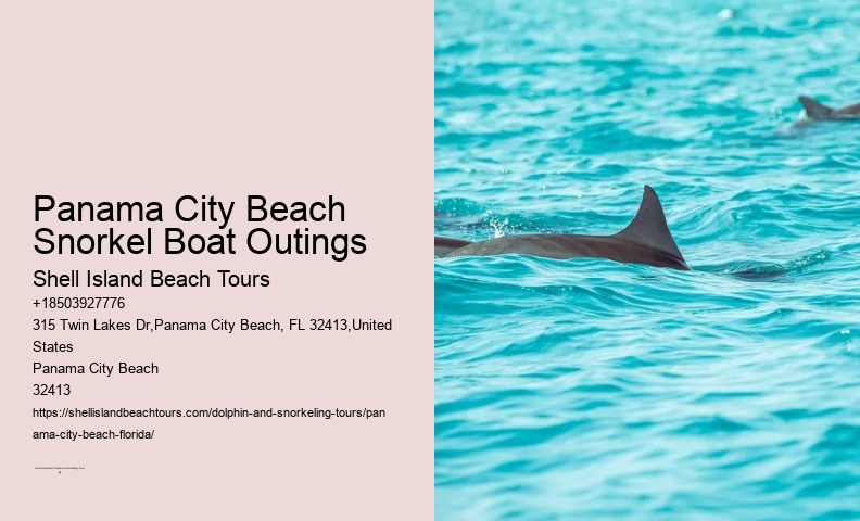 What Are The 4 Steps To Snorkeling