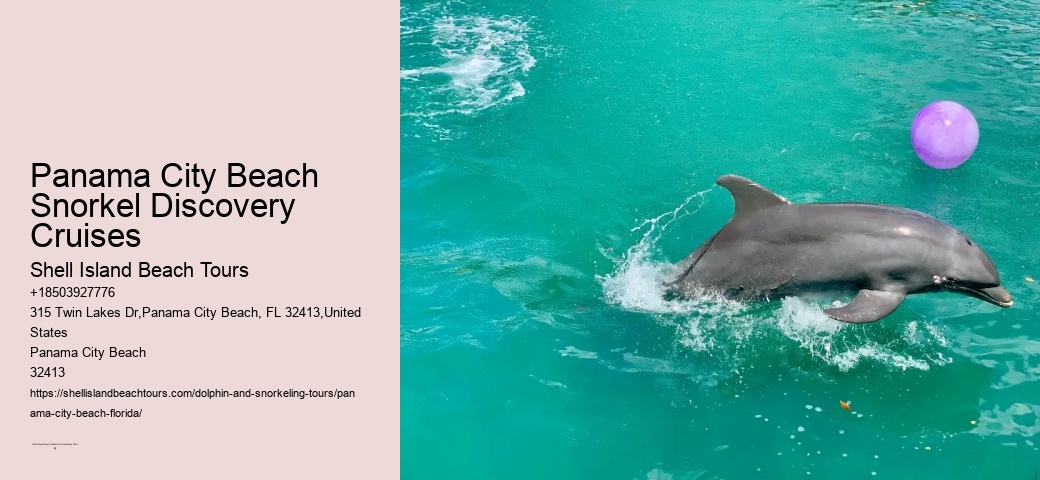 Rental Panama City Beach