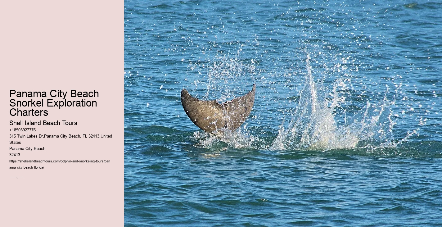 Panama City Beach Snorkeling Tours Fishing