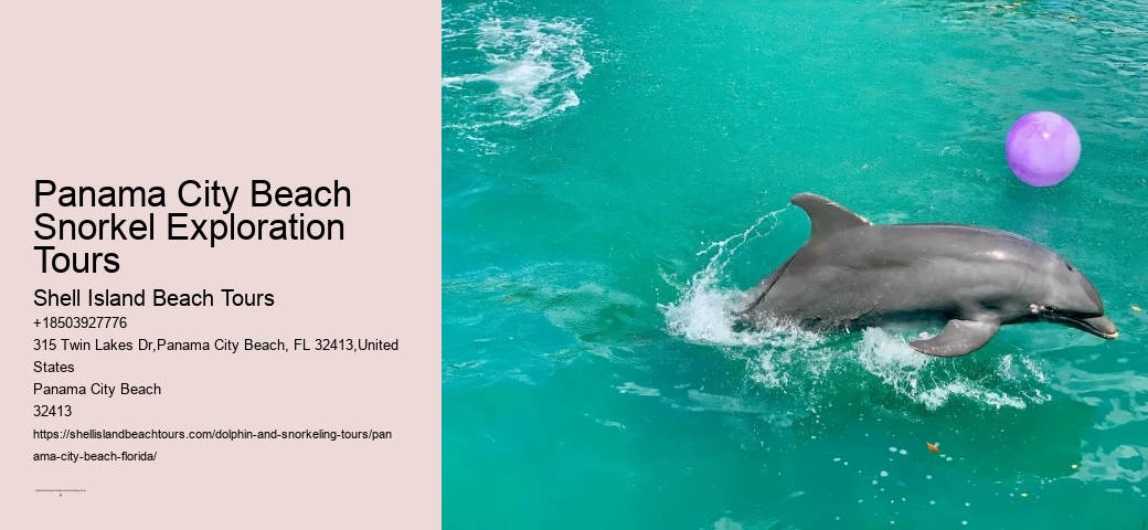 How Deep Are The Snorkeling Sites Visited On The Tours