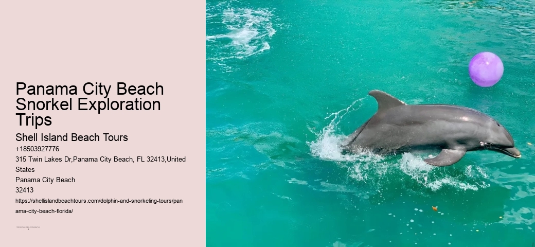 Best Beach In Panama City Beach Panama