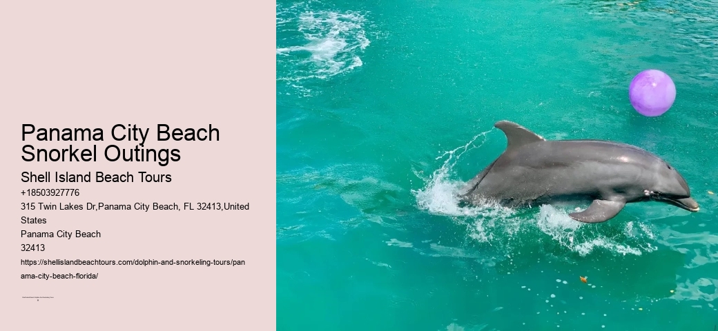 Snorkeling Trips Departing From Panama City Beach