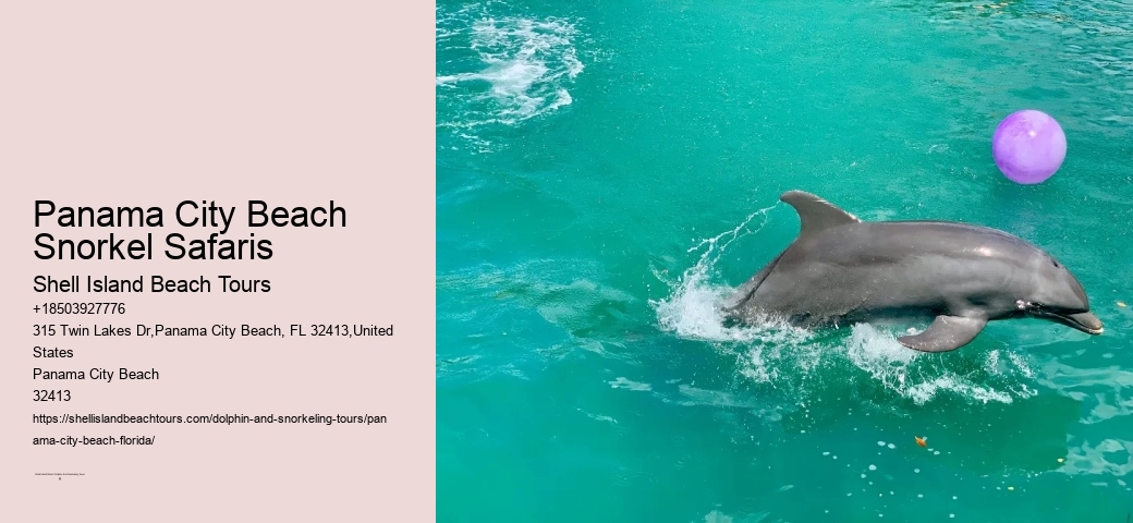 Are There Discounts Available For Group Bookings On Snorkeling Tours