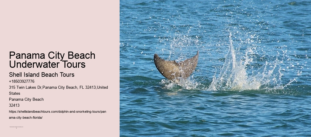 Panama City Beach Underwater Tours