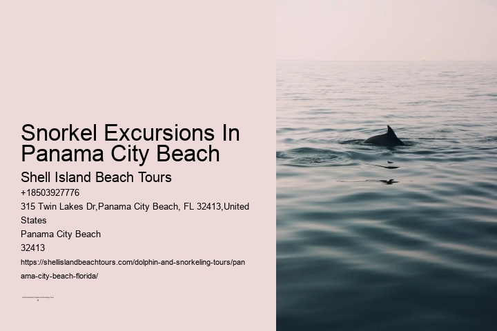 Snorkel Excursions In Panama City Beach