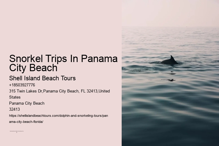 Snorkel Trips In Panama City Beach