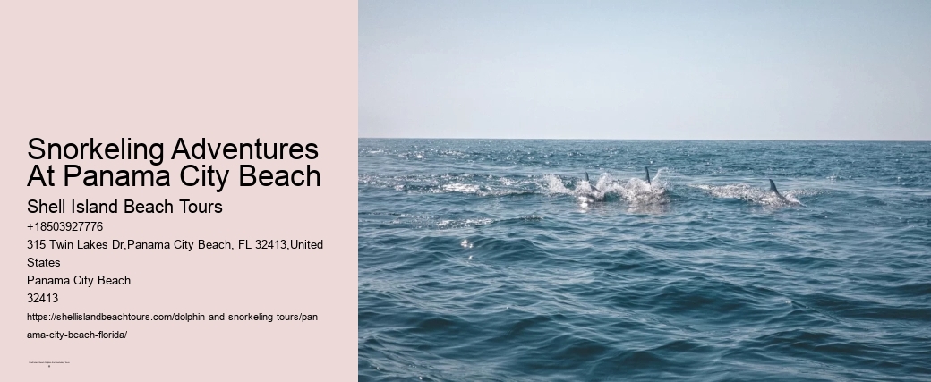 Snorkeling Adventures At Panama City Beach