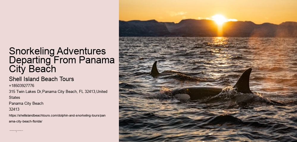 Snorkeling Adventures Departing From Panama City Beach