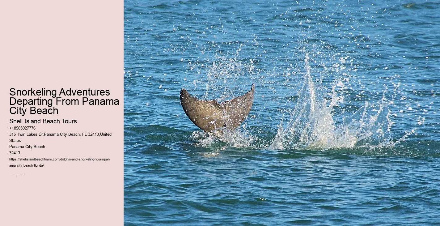 Panama City Beach Snorkel Boat Trips