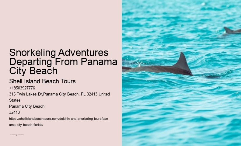 Panama City Beach Snorkeling Tours Jungle