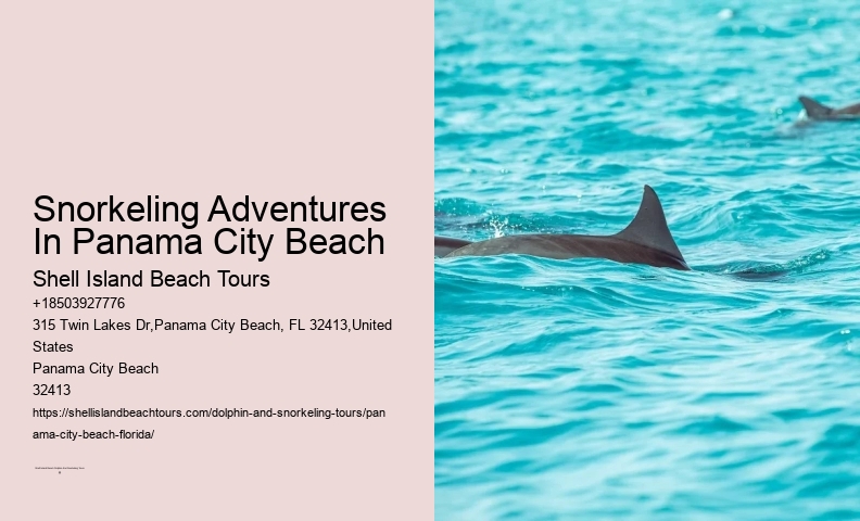 Panama City Beach Snorkel Exploration Excursions