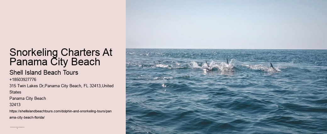 Snorkeling Charters At Panama City Beach