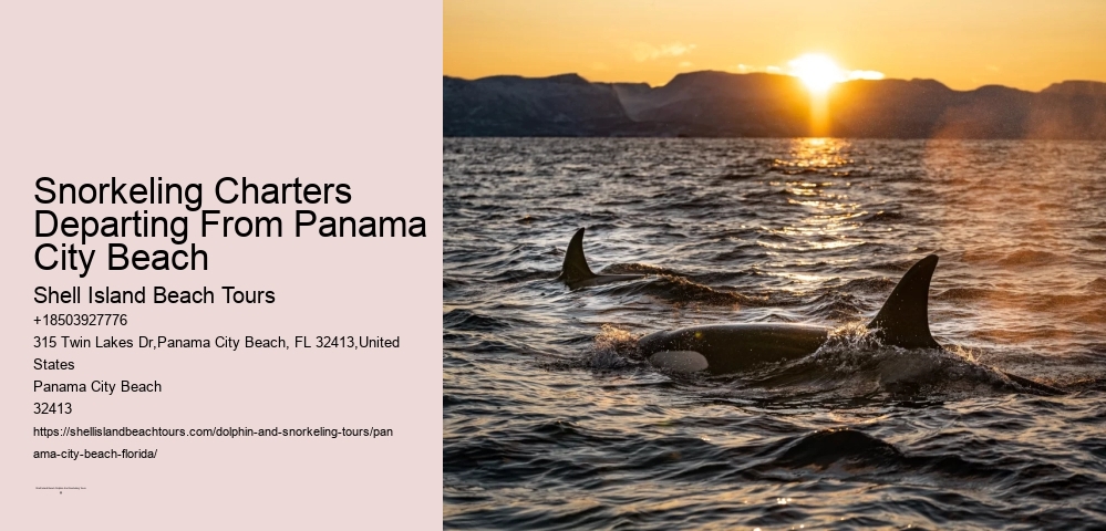 Snorkeling Charters Departing From Panama City Beach