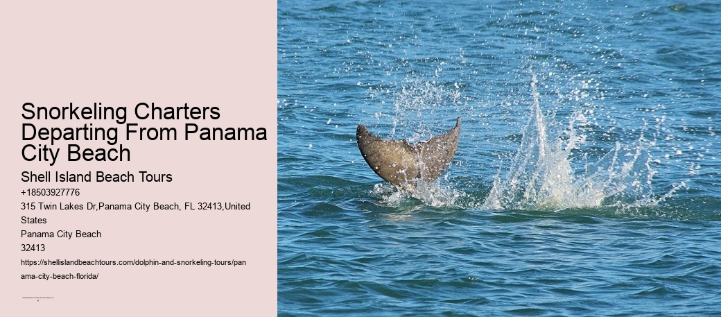 What Type Of Marine Life Encounters Can I Expect During The Snorkeling Tour