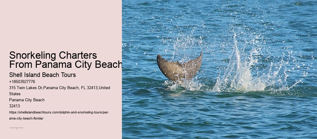 Are There Rest Breaks Provided During The Snorkeling Tours