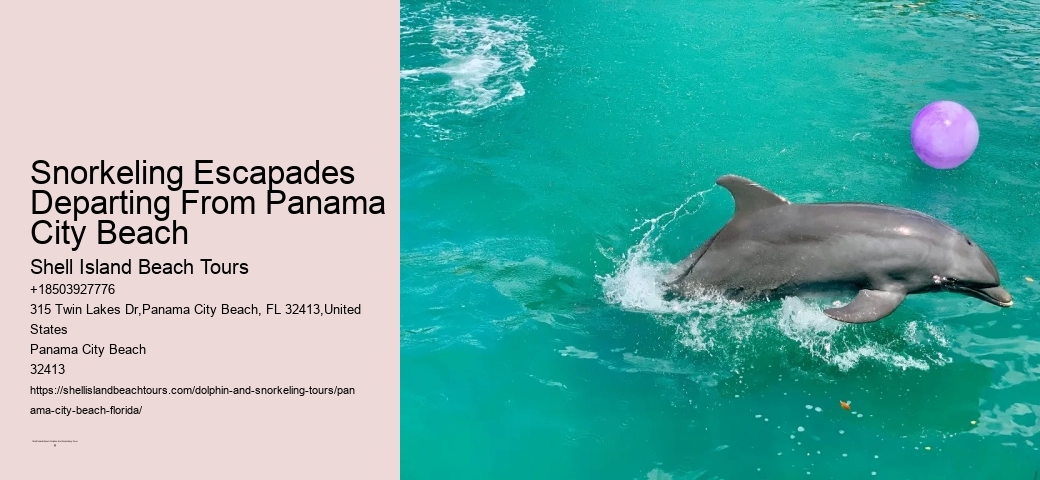 Panama City Beach Snorkeling Tours And More