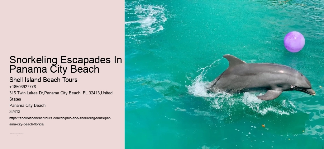 8 Day Panama Canal Cruise