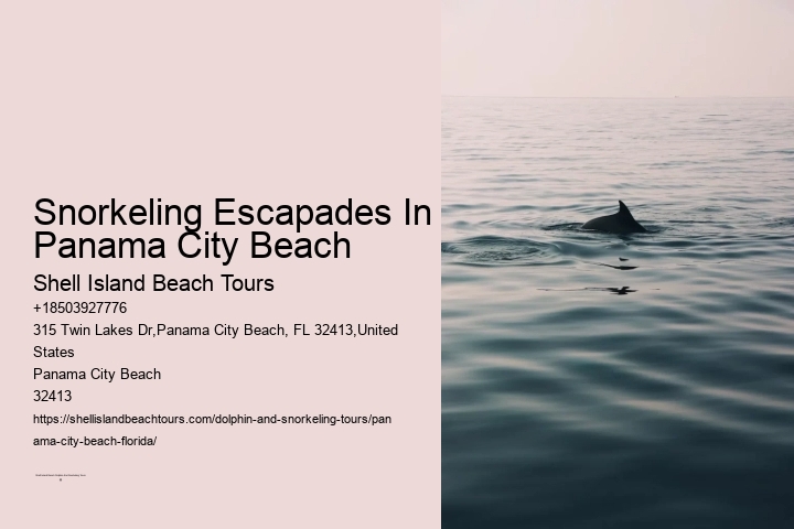 Snorkeling Escapades In Panama City Beach