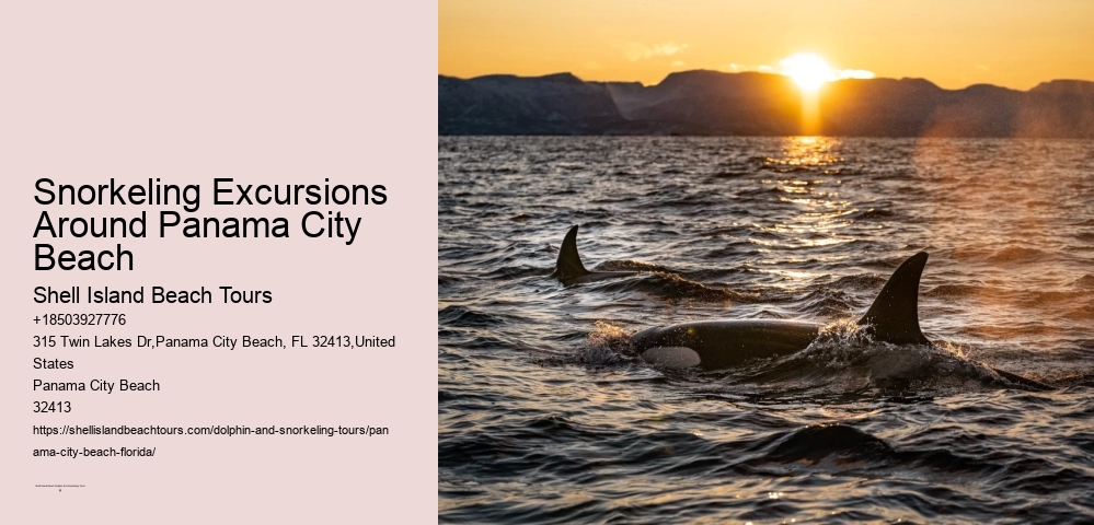 Snorkeling Excursions Around Panama City Beach