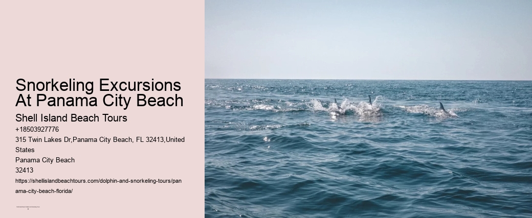 Snorkeling Excursions At Panama City Beach