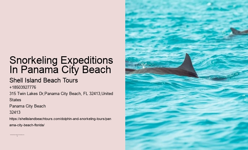 Panama City Beach Snorkel Expeditions