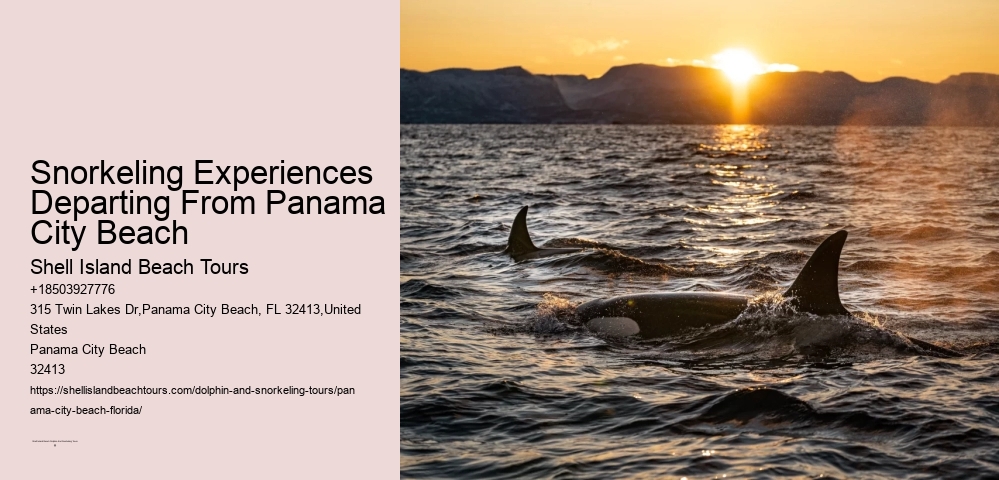 Snorkeling Experiences Departing From Panama City Beach