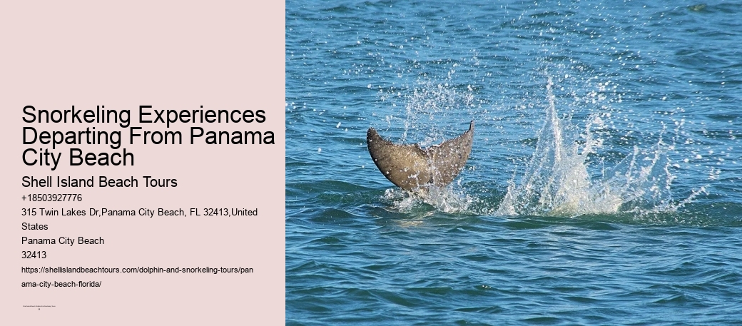 Snorkeling Experiences Departing From Panama City Beach