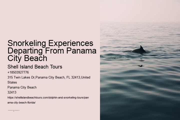Snorkeling Experiences Departing From Panama City Beach