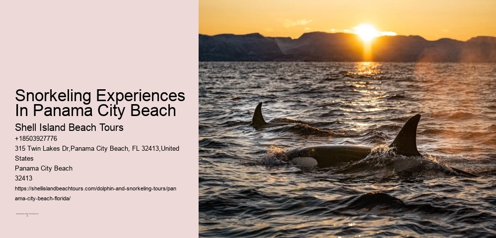 Snorkeling Experiences In Panama City Beach