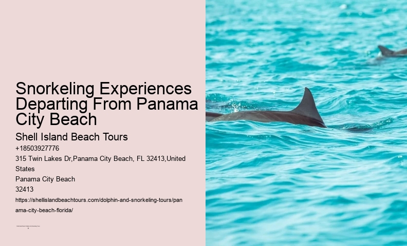 Panama City Beach Snorkel Adventure Cruises