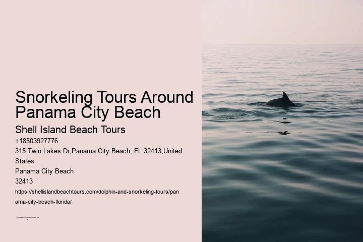 Snorkeling Tours Around Panama City Beach