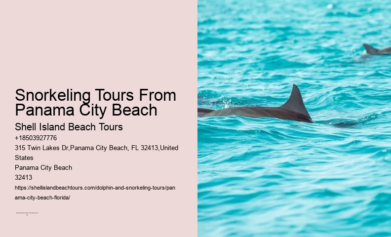 Panama City Beach Snorkeling Tours Jupiter Florida